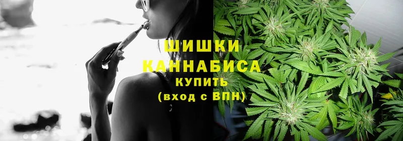 Конопля OG Kush  Верхняя Салда 